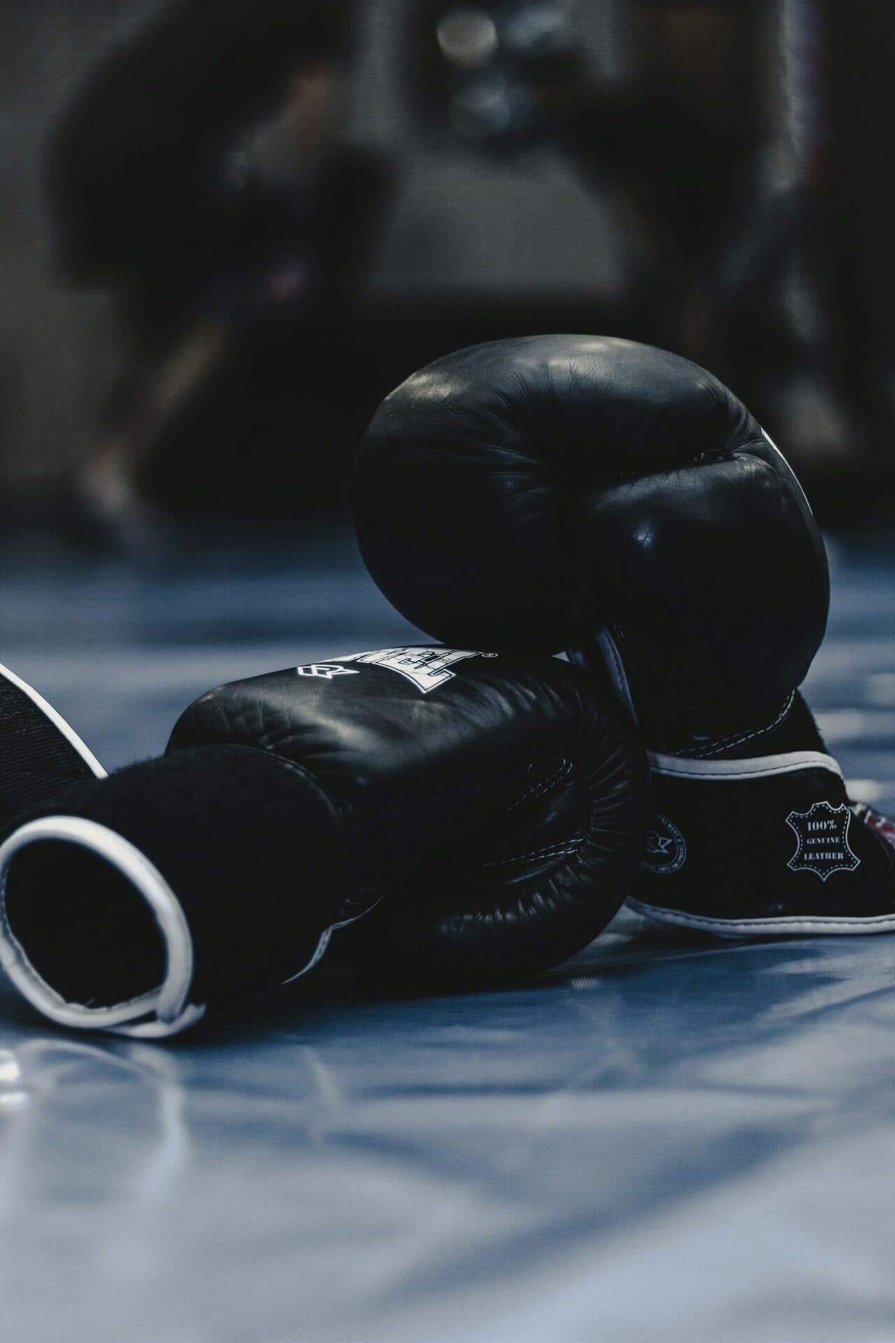 Boxing & Functional Training